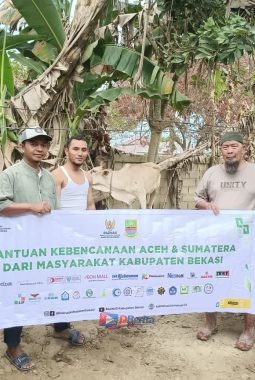 Baznas Kabupaten Bekasi Salurkan Delapan Sapi untuk Tradisi Meugang Masyarakat Aceh Tamiang Pasca Banjir