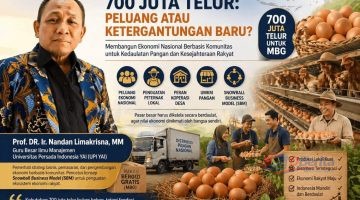 700 Juta Telur: Peluang atau Ketergantungan Baru?